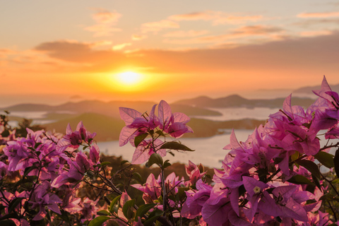 St. Thomas: Island Flyer Private Catamaran Beach & Snorkel