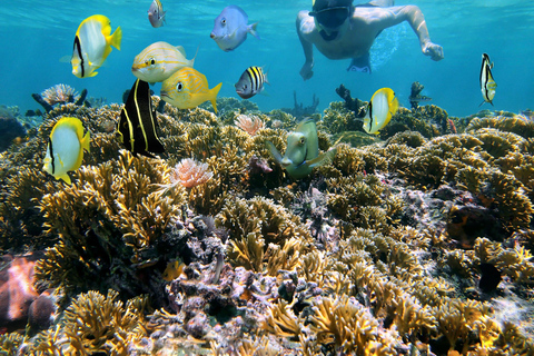 St. Thomas: Island Flyer Private Catamaran Beach & Snorkel
