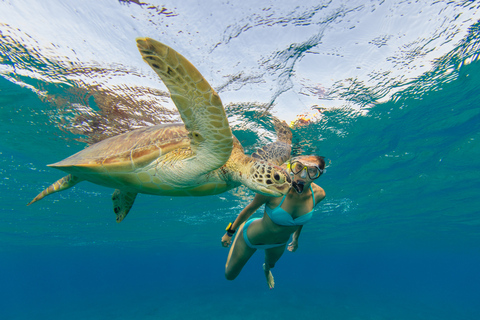 St. Thomas: Island Flyer Private Catamaran Beach & Snorkel