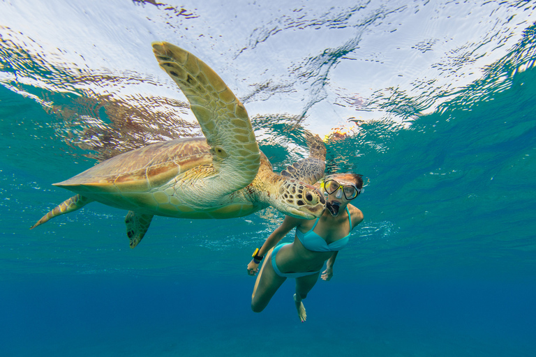 St. Thomas: Island Flyer Private Catamaran Beach & Snorkel