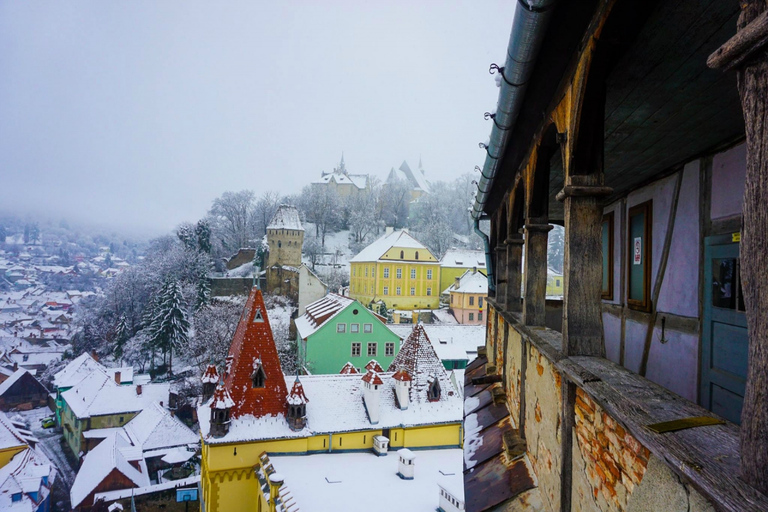 Brasov: gita giornaliera guidata privata a Sighisoara e Viscri