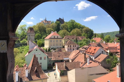 Brasov: gita giornaliera guidata privata a Sighisoara e Viscri