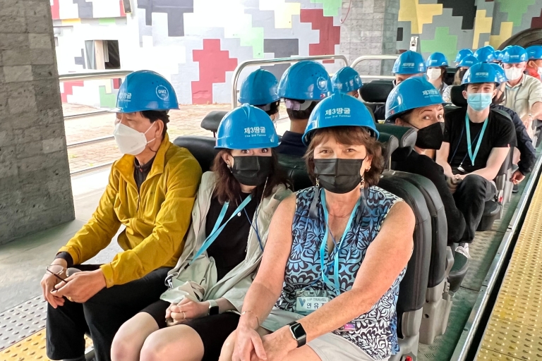 Z Seulu: jednodniowa wycieczka do DMZ, kolejki linowej i parku statków bojowych