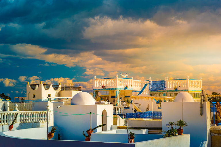 Au départ de Tunis ou de Hammamet : Circuit Hammamet et Nabeul