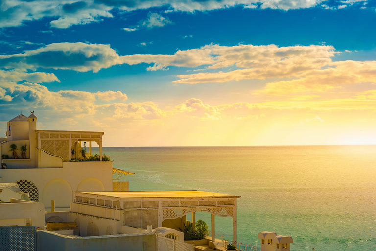 Från Tunis eller Hammamet: Hammamet och Nabeul Tour