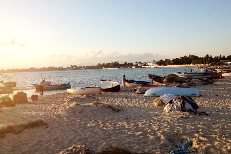 Da Tunisi o Hammamet: Tour di Hammamet e Nabeul