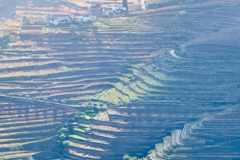 Z Porto: prywatna wycieczka po dolinie Douro z rejsem i winem