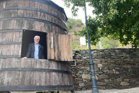 Da Porto: Tour privato della Valle del Douro con crociera e vino