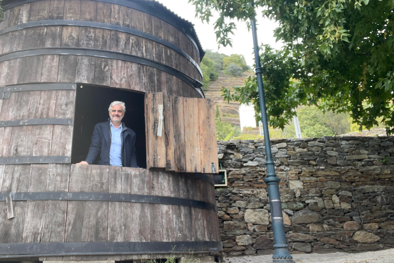 Da Porto: Tour privato della Valle del Douro con crociera e vino