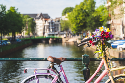 Amsterdam Small-Group Walking Tour with Canal Cruise Amsterdam: Spanish Walking Tour with Canal Cruise