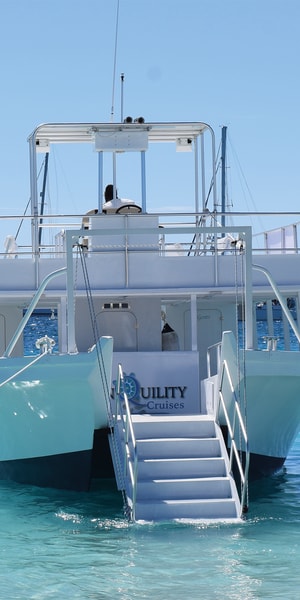 バルバドス：カーライル湾ビーチでの一日とカメと泳ぐ体験