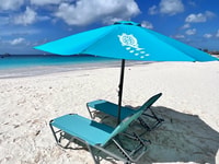 Barbados Beach Day & Turtle Swim Experience - Housity