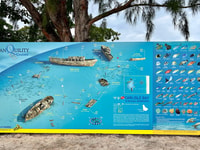 Barbados Beach Day & Turtle Swim Experience - Housity