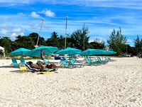 Barbados Beach Day & Turtle Swim Experience - Housity