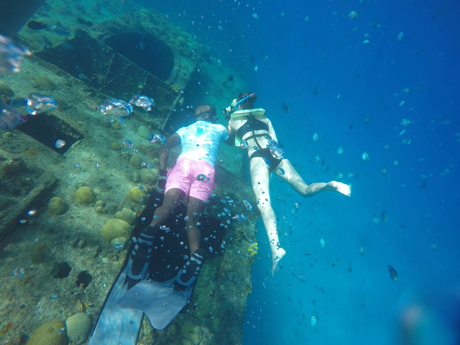 Landausflug Barbados-Strandtag & Schildkröten-Schwimmausflug