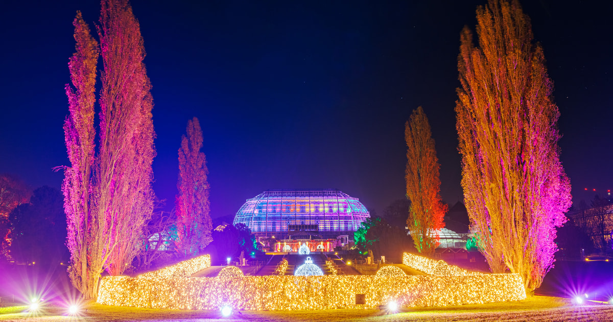 Berlin Christmas Garden in the Botanical Gardens GetYourGuide