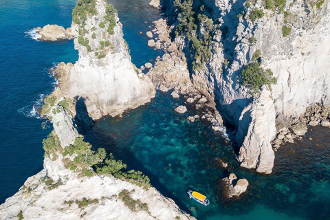 Whitianga: 2-Hour Glass Bottom Boat Cathedral Cove Tour