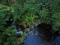 Guanacaste, Sensoria Rainforest Thermal Pools Entry Ticket - Housity