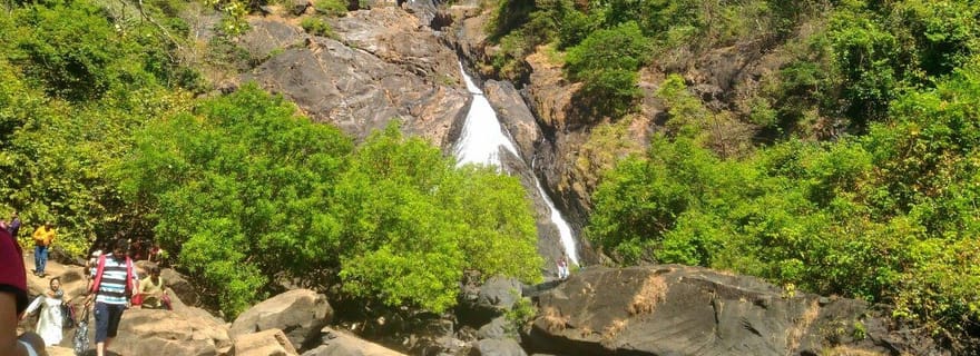 Goa : Visite de la cascade de Dudhsagar et de la ferme d'épices avec safari en jeep