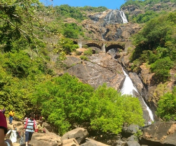 Goa: Dudhsagar Waterfall & Spice Farm Tour with Jeep Safari