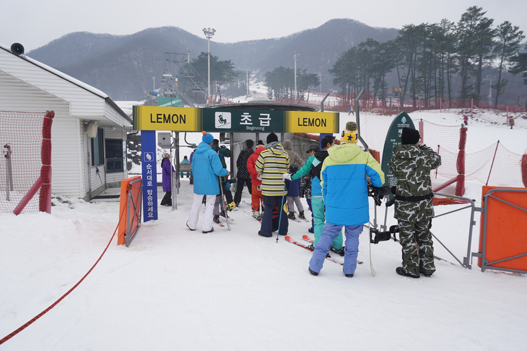 Jisan skogsresort: Heldagstur med skidor eller transfer från SeoulShuttle + Basic Ski Package