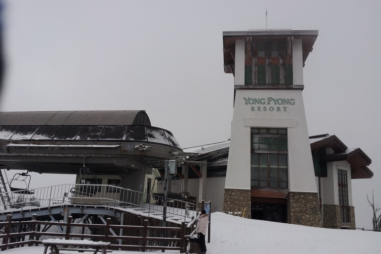 Seúl: tour a la estación de esquí de Yongpyong con paquete de esquí opcionalTraslados con paquete básico de esquí