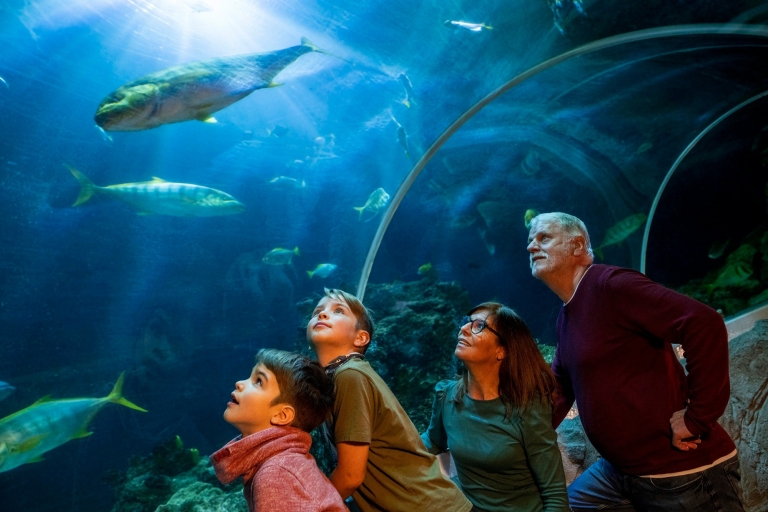 Oberhausen: SEA LIFE Ticket and Behind the Scenes Tour