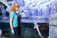 Oberhausen, Sea Life Ticket et dans la tournée des coulisses - Housity
