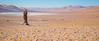 Desde San Pedro de Atacama, Ruta de Salinas, día completo - Hizvo