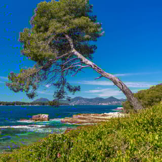 Santa Margherita: traghetto andata e ritorno da Cannes