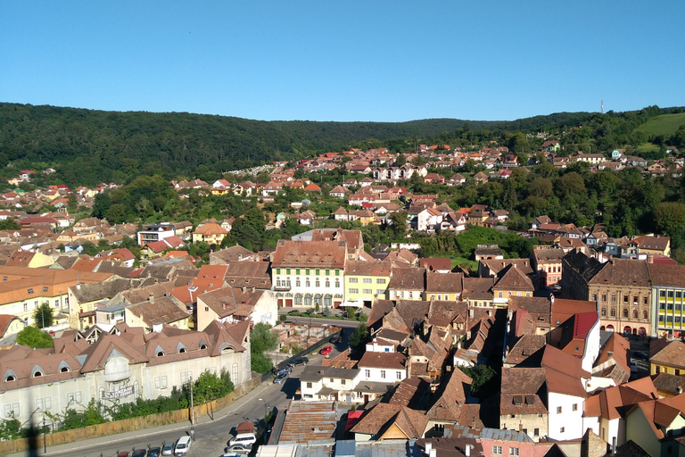 Desde Bucarest: Excursión privada de 6 días a Drácula en Transilvania