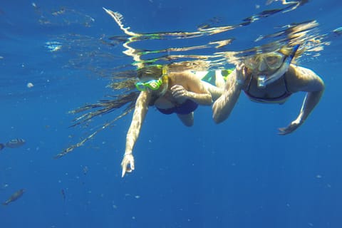 Mazatlan: Kayak Tour with Snorkeling