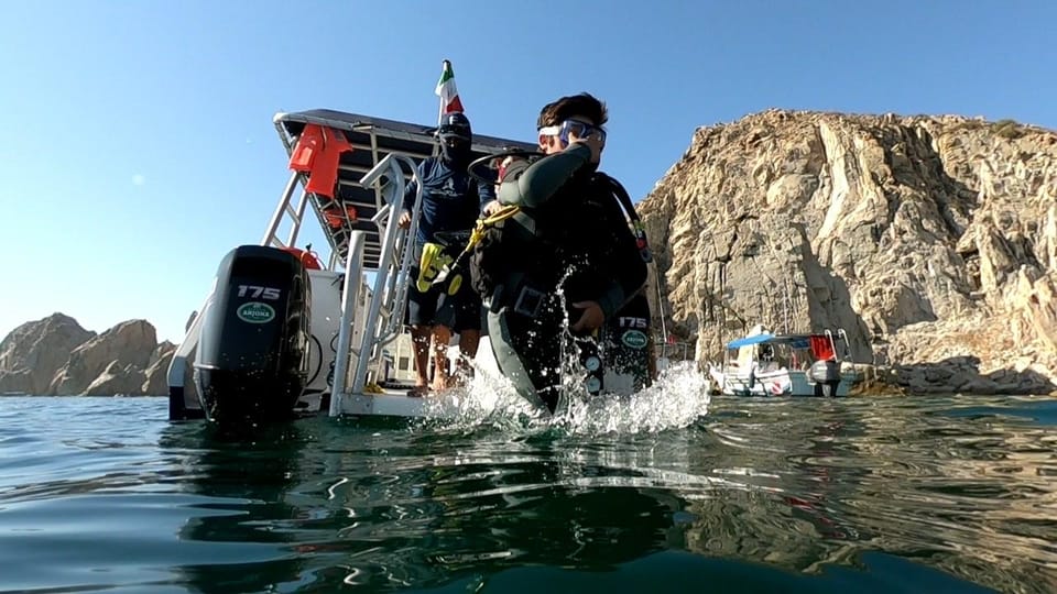 Cabo San Lucas: Scuba Diving at 2 Local Sites in Cabo Bay | GetYourGuide