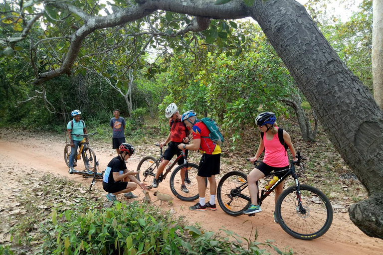 Indiana Jones: Guided Jungle Trails and Temples Bike Tour