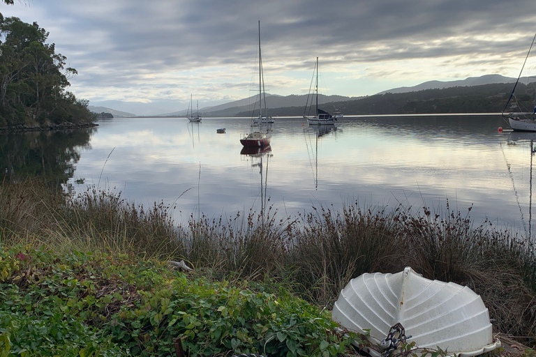 Hobart : Grottes de Hastings, promenade aérienne de Tahune et visite de la vallée de Huon