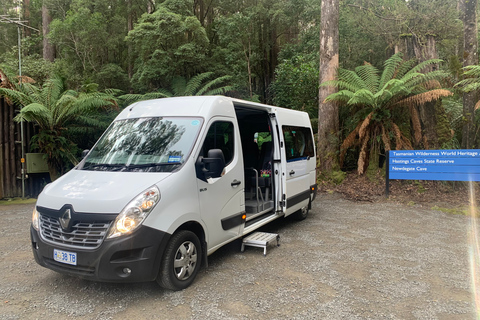 Hobart: Cuevas de Hastings, Paseo Aéreo de Tahune y Excursión al Valle de Huon