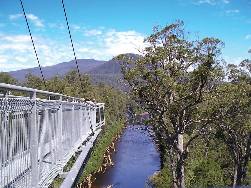 Hobart Hastings Caves, Tahune Airwalk, and Huon Valley Tour GetYourGuide