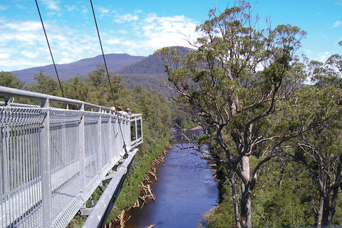 Hobart: Cuevas de Hastings, Paseo Aéreo de Tahune y Excursión al Valle de Huon