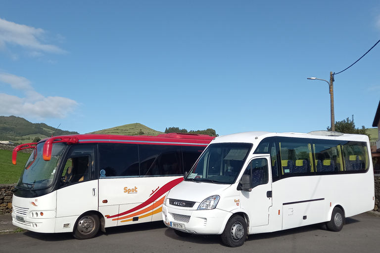 Terceira - privat grupp - halvdags guidad bussturFrån Angra do Heroísmo: Terceira Island Highlights Bus Tour