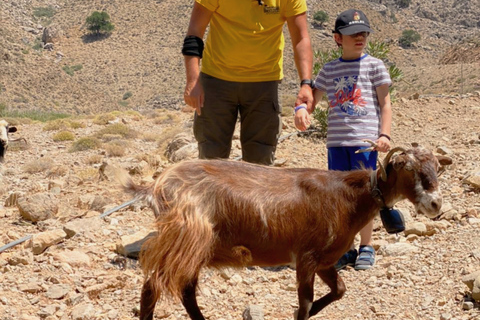 Creta: Passeio Off-Road ao Sul da Praia de Trypiti com almoço e vinhoCreta: Desfiladeiro de Trypiti e safári no mar de Creta do Sul