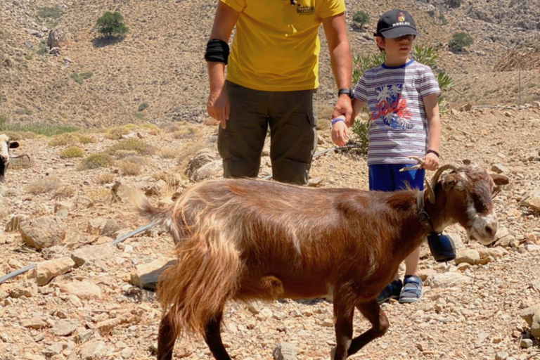 Crète : Safari dans les gorges de Trypiti et la mer du sud de la Crète