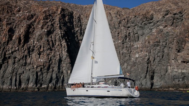 Visit From Los Gigantes Whale Watching Sailboat Cruise in Costa Adeje, Tenerife, Spain