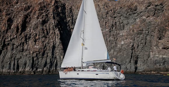 From Los Gigantes: Whale Watching Sailboat Cruise