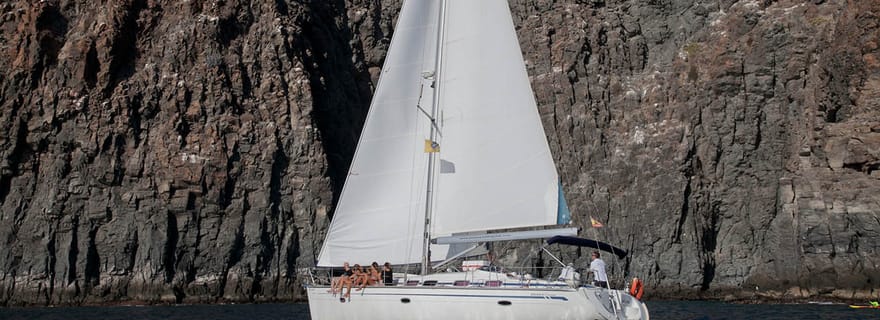 Au départ de Los Gigantes : Croisière d'observation des baleines en bateau à voile