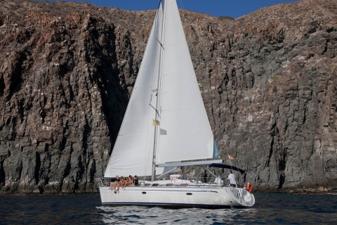 From Los Gigantes: Whale Watching Sailboat Cruise Private 4-Hour Trip