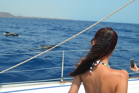 From Los Gigantes: Whale Watching Sailboat Cruise Private 3-Hour Trip