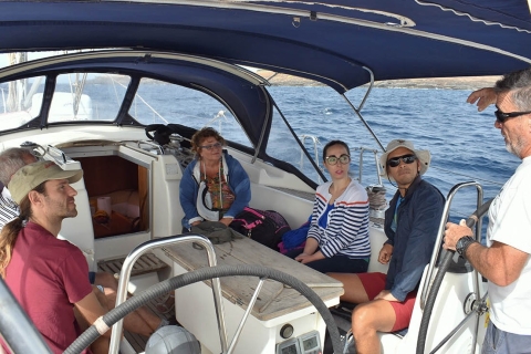 From Los Gigantes: Whale Watching Sailboat Cruise Shared 3-Hour Trip