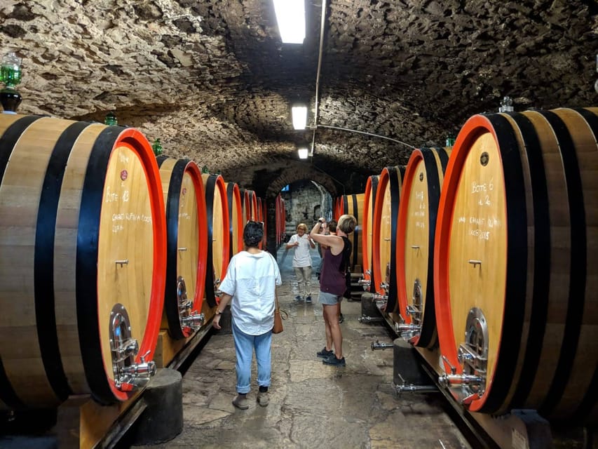 Tour de vinos de Florencia con almuerzo tradicional, bodega privada