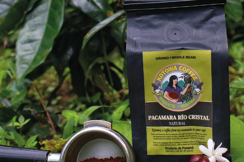 Boquete, Chiriquí: Irresistible aromas and flavors with coffee Boquete, Chiriquí: Dive into the world of coffee
