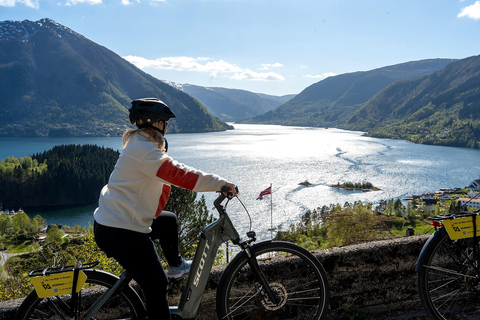 Bergen: Osterøy E-Bike Tour, Fjord Safari & Lunch